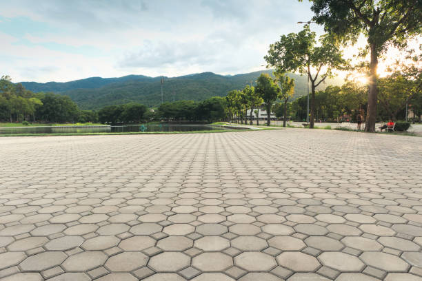 Best Concrete Paver Driveway  in Norwood, NC